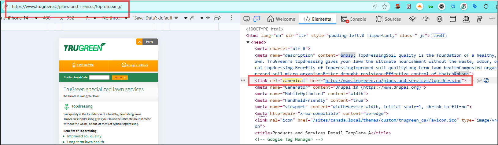 trugreen correct canonical implementation : Technical SEO Audit of TruGreen [Landscaping]