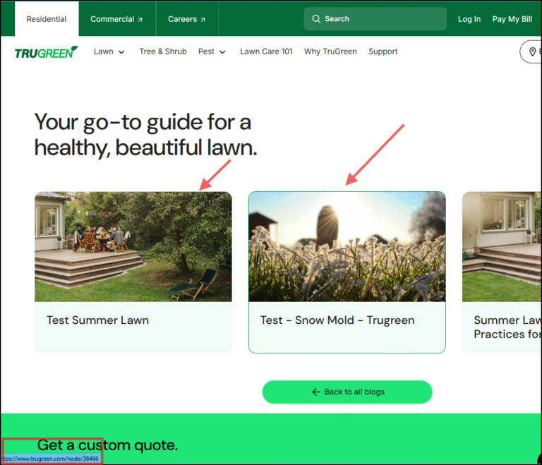 trugreen path alias error 4xx url : Technical SEO Audit of TruGreen [Landscaping]