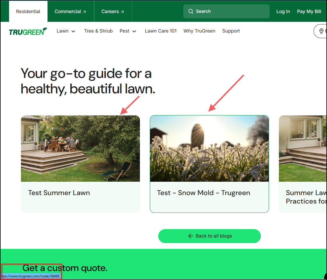 trugreen path alias error 4xx url : Technical SEO Audit of TruGreen [Landscaping]