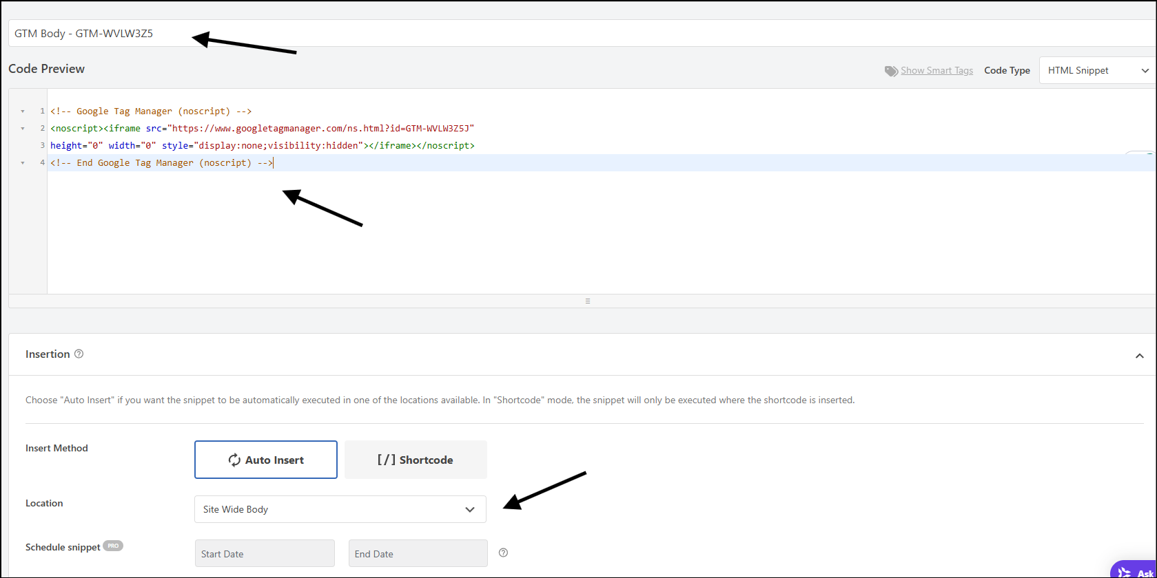 wpcode snippet gtm body